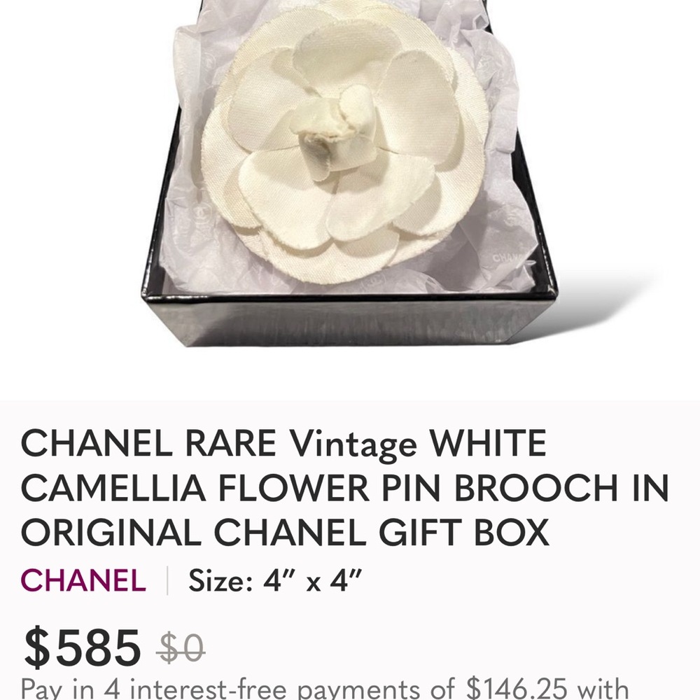 CHANEL White Camellia Brooch